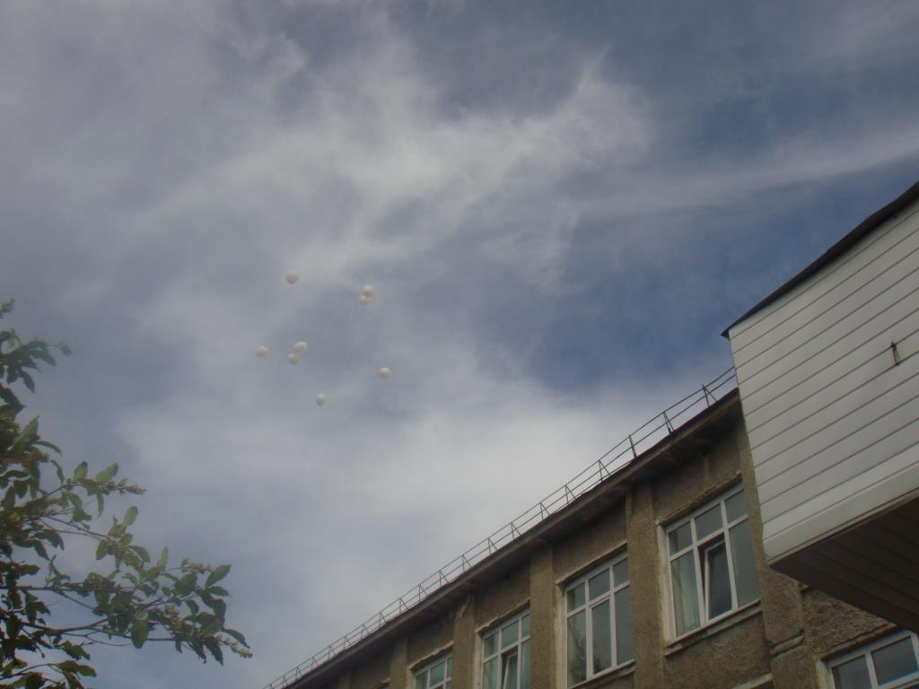 DSC05816